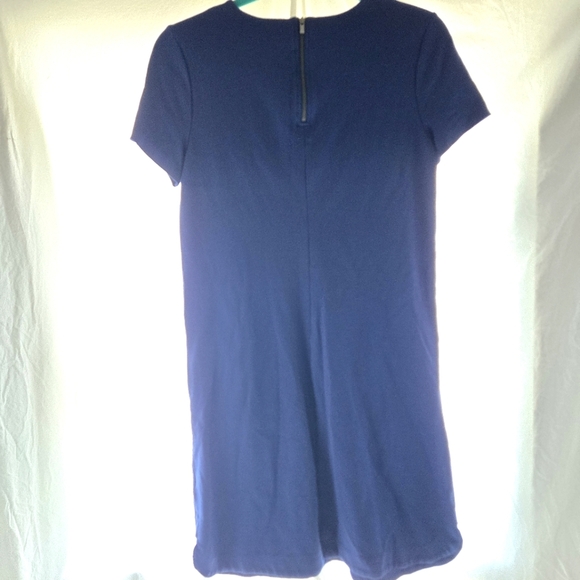 Comfortable Blue Shift Dress - Picture 6 of 8